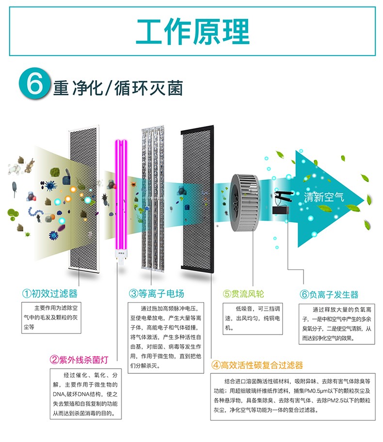 国际利来空气消毒机工作原理.jpg